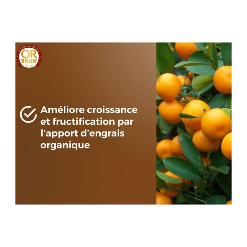 Terreau agrumes et plantes méditerranéennes 20 L - OR BRUN