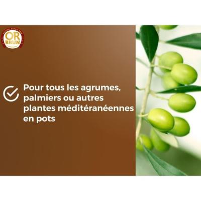 Terreau agrumes et plantes méditerranéennes 20 L - OR BRUN