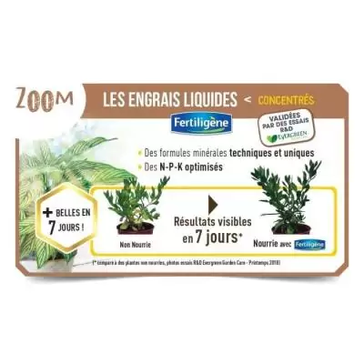 Booster naturel pour Arbustes, Buis et Bambous - 400 ml