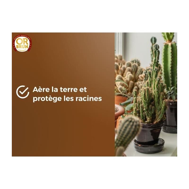 Substrat cactus & Plantes grasses - OR BRUN - Favorise croissance