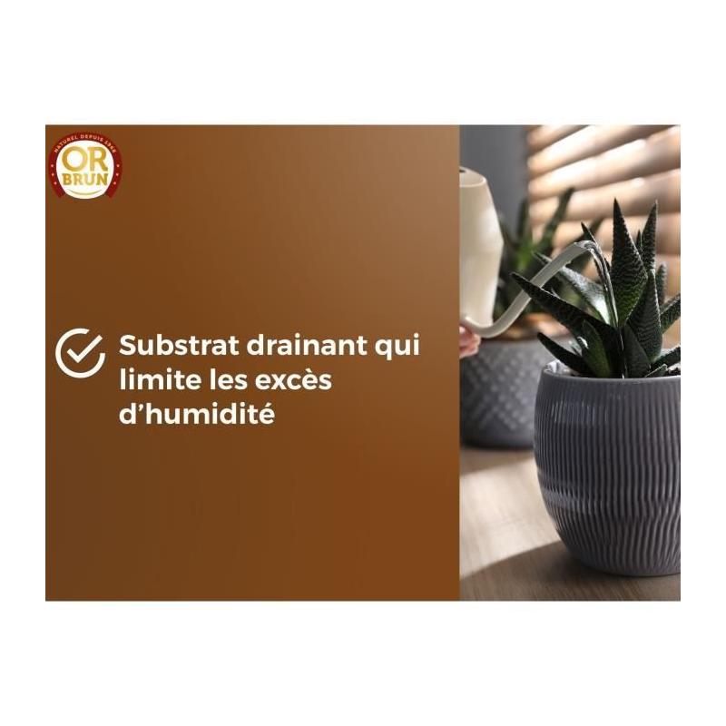 Substrat cactus & Plantes grasses - OR BRUN - Favorise croissance