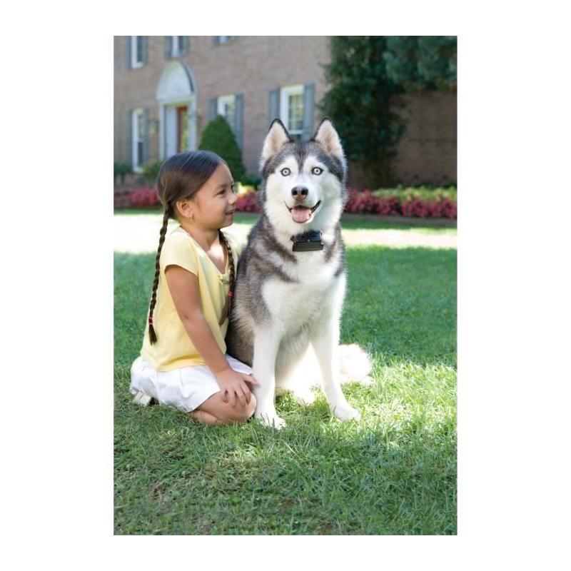 Collier supplémentaire pour clôture anti-fugue PETSAFE
