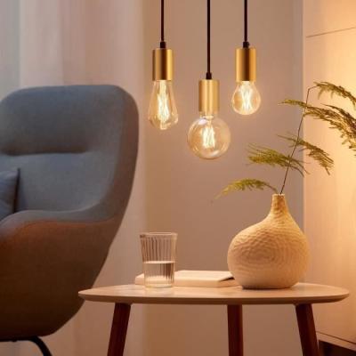 Kit de démarrage WiZ 2 ampoules connectées Edison Blanc variable E27 50W + Télécommande variateur
