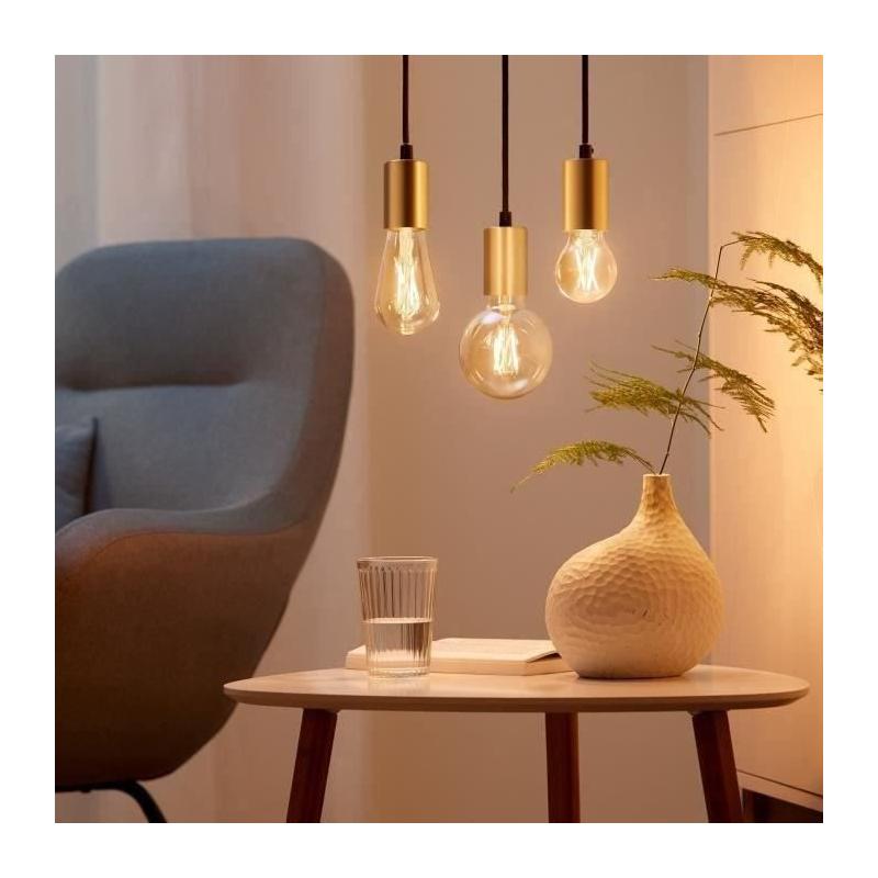 Kit de démarrage WiZ 2 ampoules connectées Edison Blanc variable E27 50W + Télécommande variateur