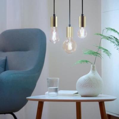 Kit de démarrage WiZ 2 ampoules connectées Edison Blanc variable E27 50W + Télécommande variateur
