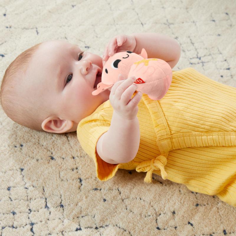 Fisher-Price – Coffret Les Sens en Éveil