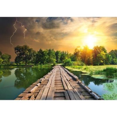 Puzzle 1000 pièces Lumiere mystique, divertissement pour adultes et enfants