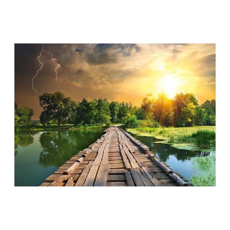 Puzzle 1000 pièces Lumiere mystique, divertissement pour adultes et enfants
