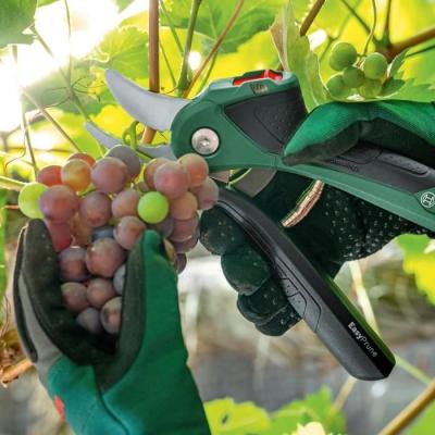 Sécateur EasyPrune sans fil Bosch - Vert - Technologie Power Assist