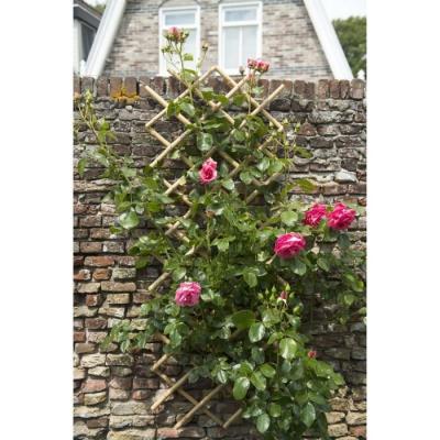 Treillis extensible en bambou - Naturel - 45 x 180 cm