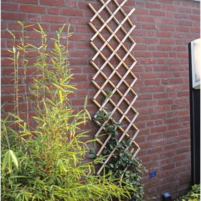 Treillis extensible en bambou - Naturel - 45 x 180 cm