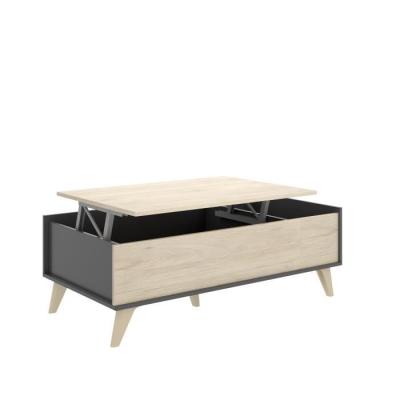 Ensemble Salon Moderne : Meuble TV + Table Basse Relevable