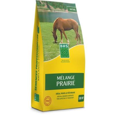 Gazon BHS Mélange Prairie 5kg | Résistant et sans entretien