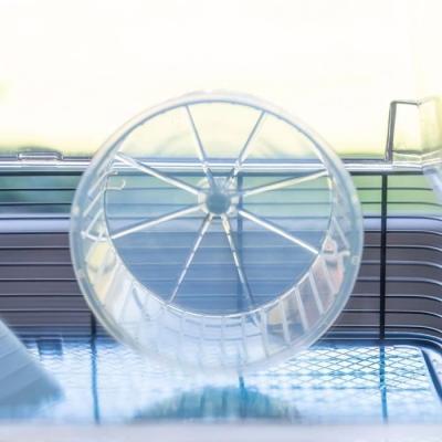 Cage FERPLAST DUNA FUN LARGE - Bleu - 3 étages - Spacieuse et ludique