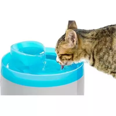 Fontaine à eau Zolux pour chats et chiens - 2 litres - Avec cartouche filtrante