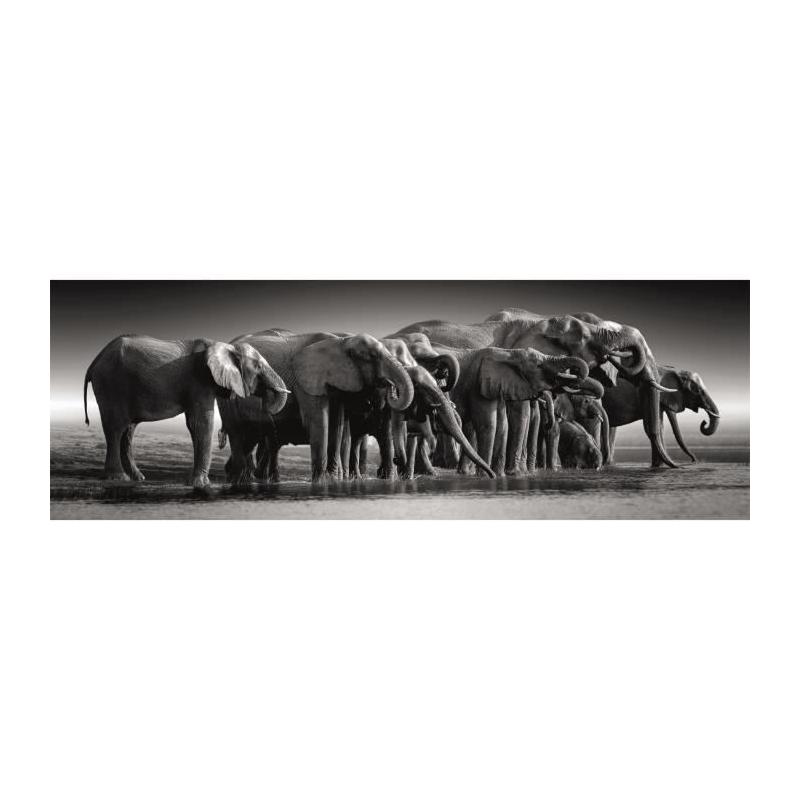 Puzzle CLEMENTONI - Compact 1000 pièces Panorama - Traversée des géants
