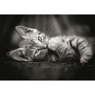 Puzzle CLEMENTONI Compact 1000 pièces - Chaton