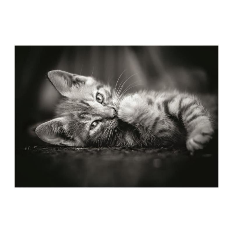 Puzzle CLEMENTONI Compact 1000 pièces - Chaton