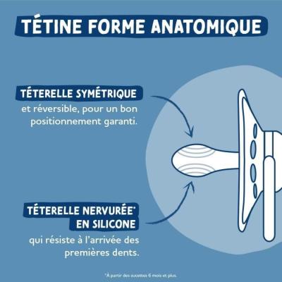 Duo sucettes anatomiques Dodie - Panda roux - Pour 6 mois et +