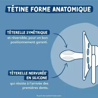 Duo sucettes anatomiques Dodie - Panda roux - Pour 6 mois et +