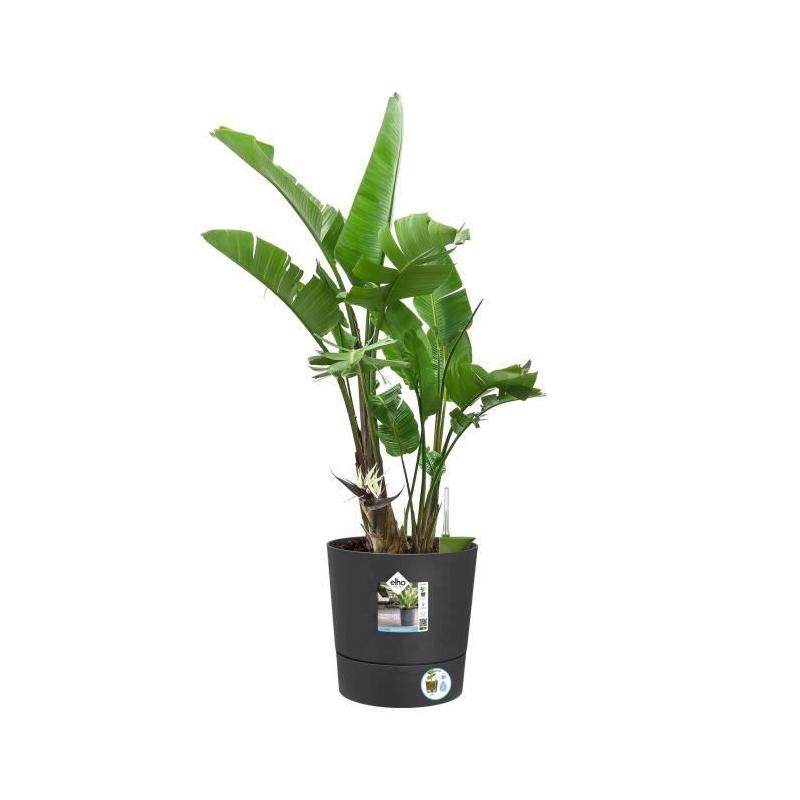 Pot de fleur Elho Plastique Carré Greensense Aqua Care Gris Charbon 29,5 x 29,5 x H 29,1 cm