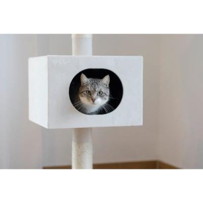 Arbre à chat FERDI Kerbl - Conception élégante et solide