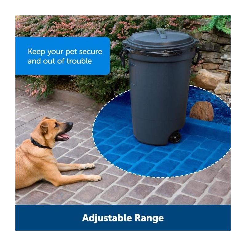 Collier Mini Barrier PETSAFE - Noir - Pour chien et chat