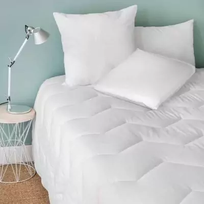 Oreiller mémoire de forme 60 x 40 cm - TOISON D'OR - MASTERMIND