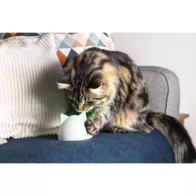 Hub Sure Petcare Blanc - Compatible avec 10 produits Connect | CHATIERE - PORTE POUR CHAT - TRAPPE CHAT