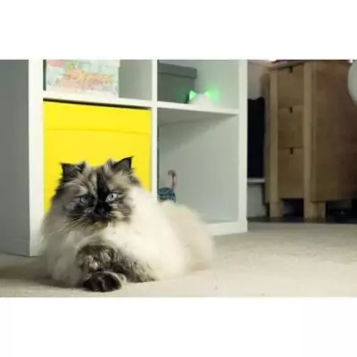 Hub Sure Petcare Blanc - Compatible avec 10 produits Connect | CHATIERE - PORTE POUR CHAT - TRAPPE CHAT