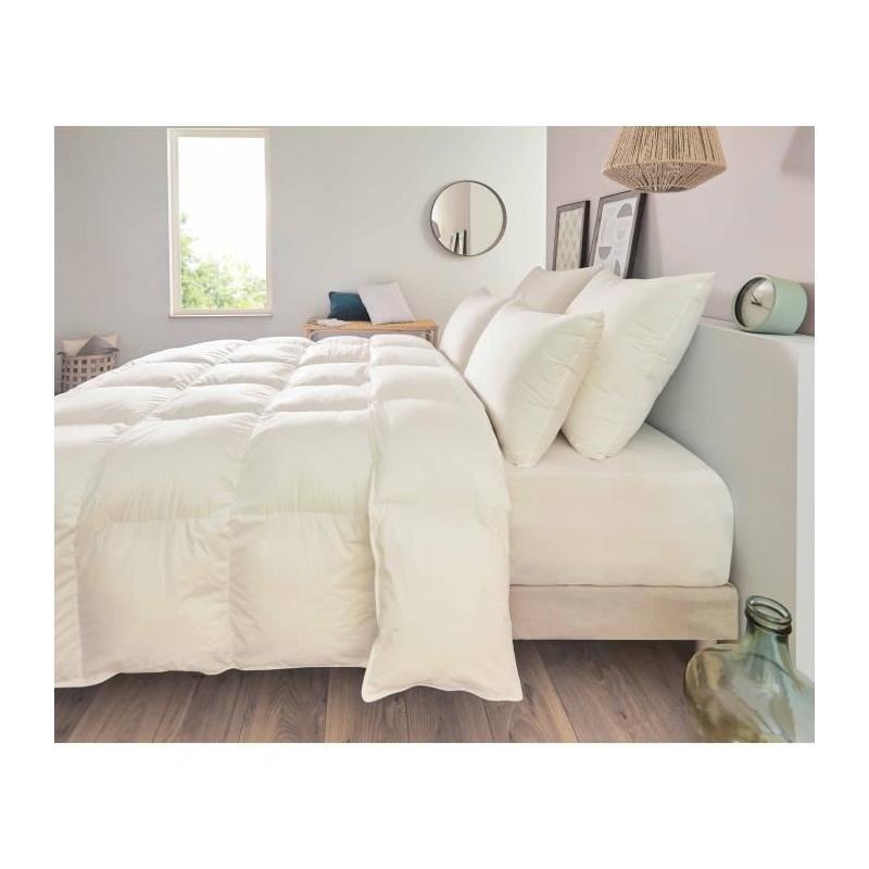 Oreiller TOISON D'OR - Confort ferme - 50 x 70 cm - Blanc