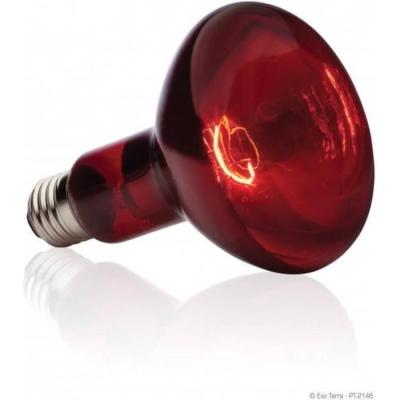 Lampe infrarouge 75 W pour un bain de soleil parfait