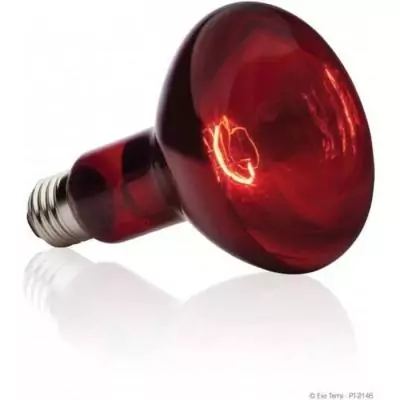 Lampe infrarouge 75 W pour un bain de soleil parfait
