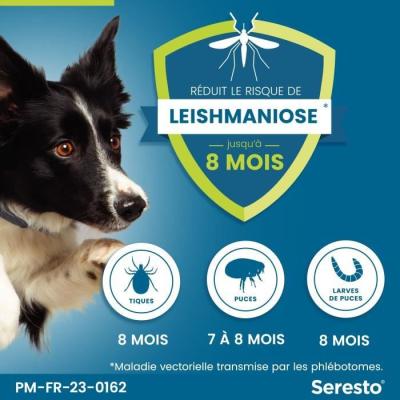 Collier Antiparasitaire SERESTO pour Chiens +8kg
