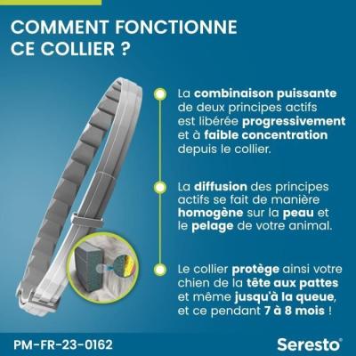 Collier Antiparasitaire SERESTO pour Chiens +8kg