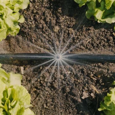 Kit d'initiation pour potagers GARDENA - jusqu'à 60m²