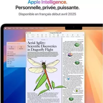 MacBook Air M4 (2025) 13,6" - RAM 24Go - Stockage 512Go - CPU/GPU 10 cœurs - Lumiere Stellaire