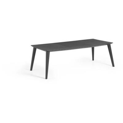Table de jardin en résine Lima - Gris graphite - 8 à 10 personnes