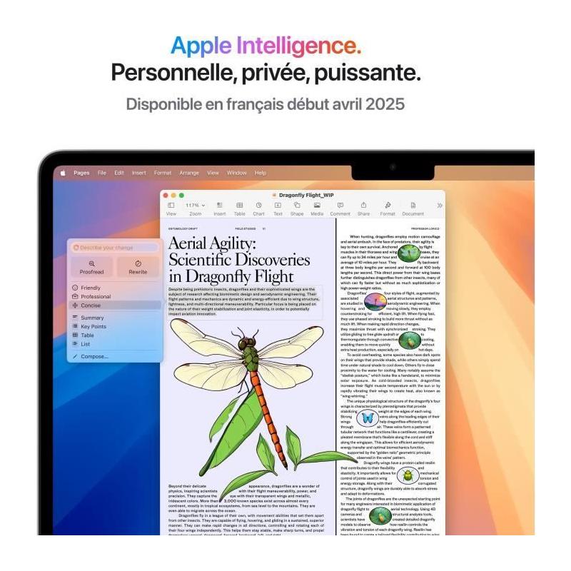 Apple MacBook Air M4 (2025) - 24Go RAM, 512Go Argent