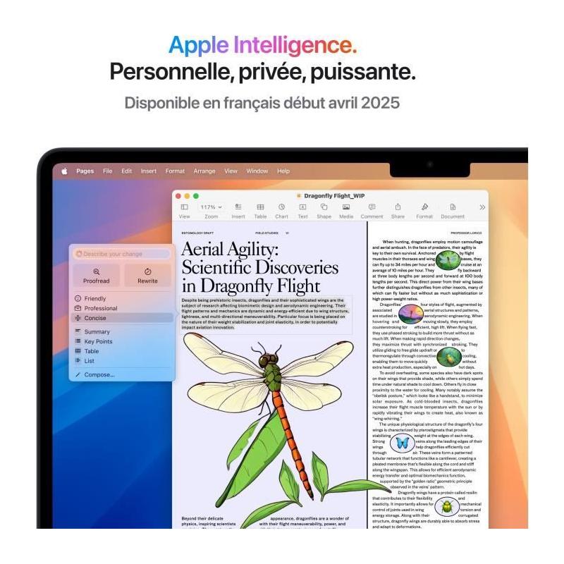 Apple MacBook Air M4 (2025) - Performances ultimes avec RAM 24Go, Stockage 512Go