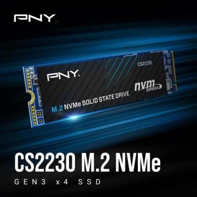 Disque dur SSD M2 NVMe 1TB PCIE - CS2230
