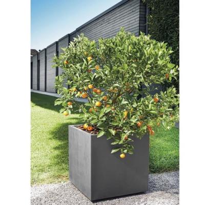 Pot de fleur Cube DEROMA Millennium R Anthracite 49 cm