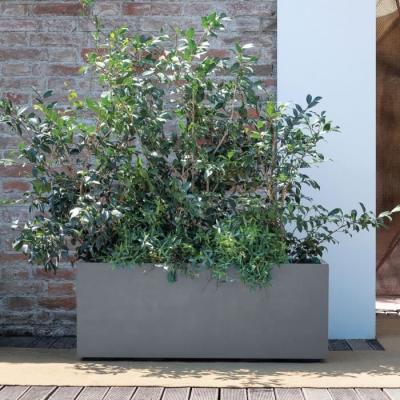 Jardinière Muret DEROMA Millennium R - Ashgrey - Avec réserve d'eau - 99 cm