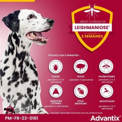 Advantix Chien Grande Race 25-40kg: Solution Antiparasitaire