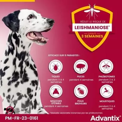 Advantix Chien Grande Race 25-40kg: Solution Antiparasitaire