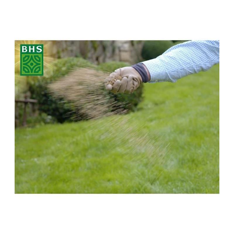 Gazon Rustique 20kg - Densité, Esthétique & Durabilité