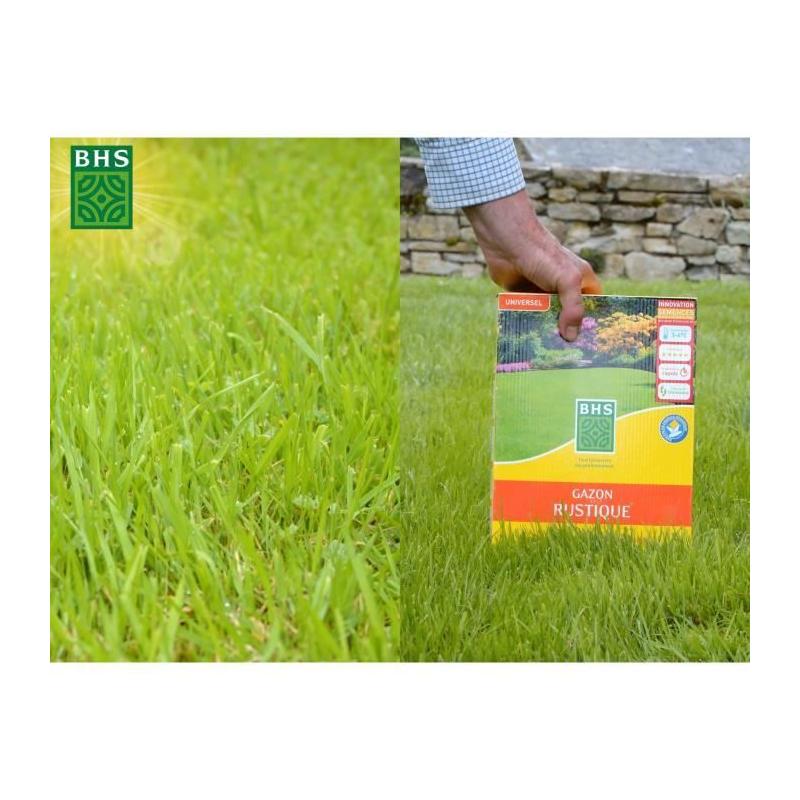 Gazon Rustique 20kg - Densité, Esthétique & Durabilité
