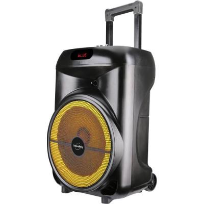 Enceinte trolley lumineuse 700W Bluetooth - INOVALLEY