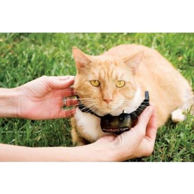 Collier supplémentaire anti-fugue léger pour chat