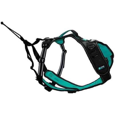 Harnais pour chien SYMBIOZ XL Noir/Bleu - Confort et style